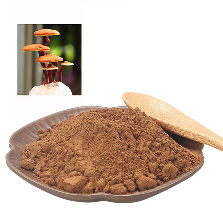 Daily Immune Support from Certified Organic Reishi Mushrooms